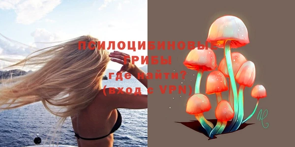 Альфа ПВП Баксан