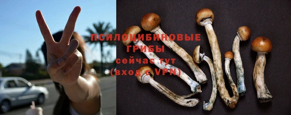 Альфа ПВП Баксан