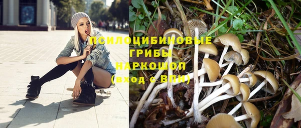Альфа ПВП Баксан