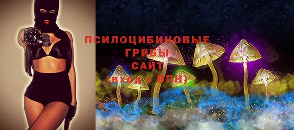 Альфа ПВП Баксан